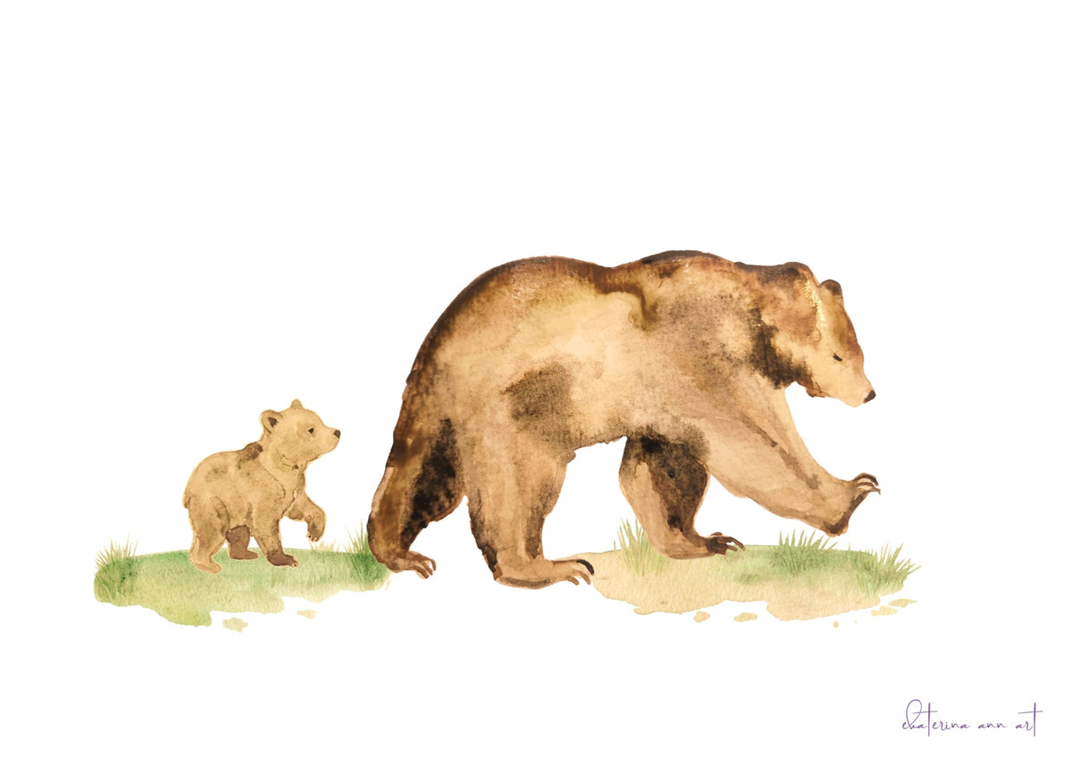 The Bear Sanctuary