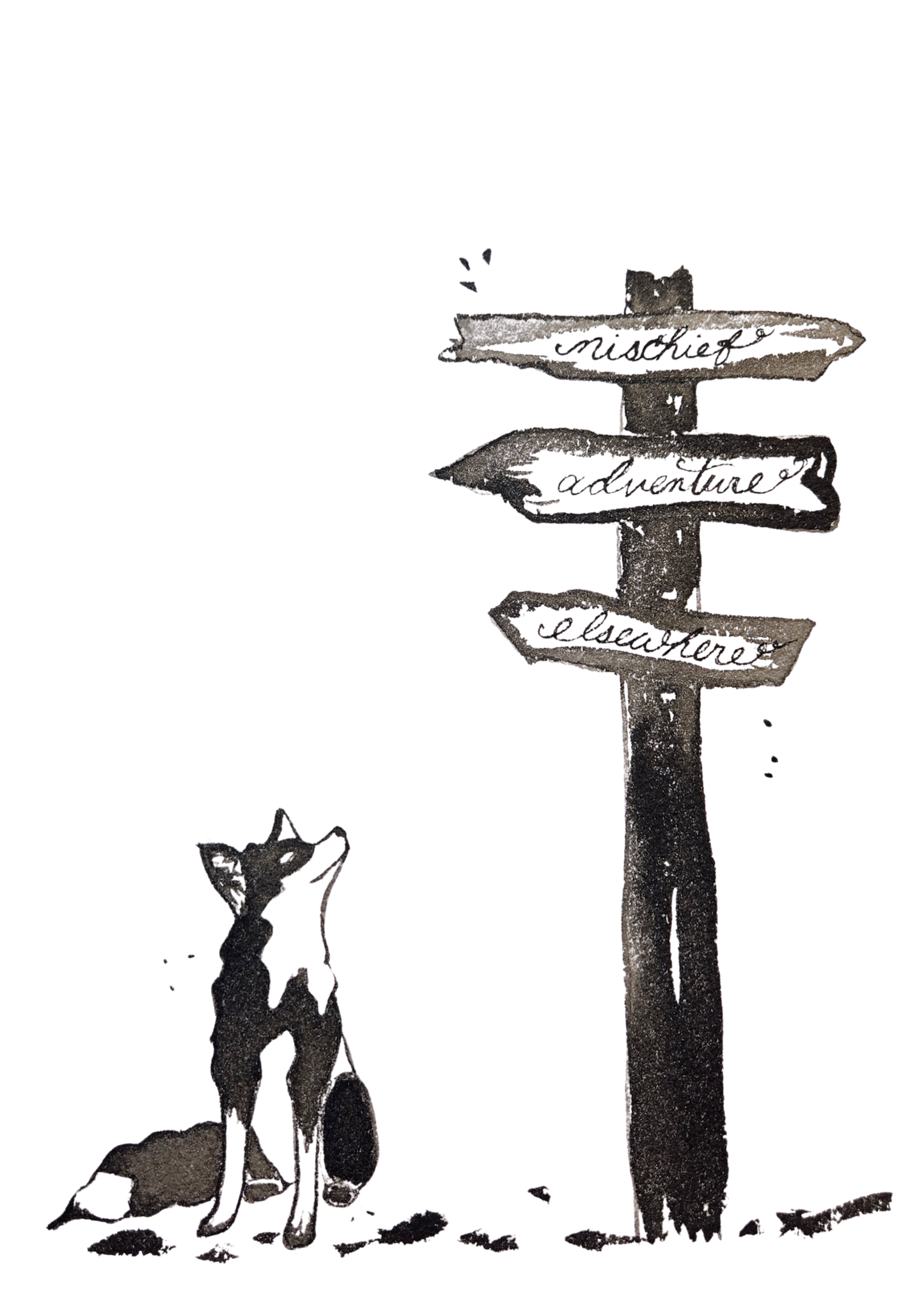 Fox at a Crossroads