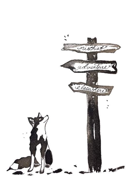 Fox at a Crossroads